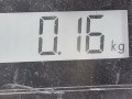 переключатель подрулевой (стрекоза) Opel Tigra 2 поколение 2007, 1.3 л., МКПП, кабриолет - фото №6