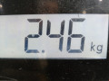 пружина задняя Toyota RAV4 2 поколение (XA20) 2003, 2.0 л., МКПП, внедорожник 3 дв., 4823142100 - фото №5