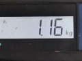 насос топливный Opel Zafira 3 поколение (C) 2014, 2.0 л., МКПП, минивэн, 13588663 - фото №6