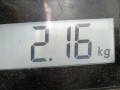 фара правая SEAT Leon 2 поколение [рестайлинг] 2010, 1.9 л., МКПП, хетчбэк 5 дв., 5P2941034A - фото №6