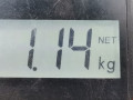 масляный поддон Citroen C3 1 поколение [рестайлинг] 2008, 1.4 л., МКПП, хетчбэк 5 дв., 0301L5 - фото №8