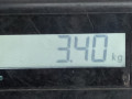 стабилизатор подвески передний Citroen Xsara Picasso 1 поколение [рестайлинг] 2008, 1.6 л., МКПП, минивэн, 508189 - фото №5