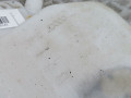 бачок омывателя Nissan Qashqai 1 поколение 2009, 1.6 л., МКПП, хетчбэк 5 дв., 28710JD000 - фото №5