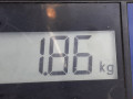 подушка крепления двигателя Volkswagen Polo 5 поколение 2011, 1.6 л., МКПП, хетчбэк 5 дв., 6R0199167AE - фото №6