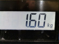 Клапан ТНВД Renault Espace 4 поколение [рестайлинг] 2009, 2.0 л., МКПП, минивэн, 166386701R - фото №5