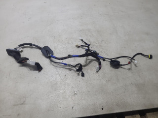 дверная проводка Hyundai Santa Fe 2 поколение (CM) 2008, 2.2 л., D4EB, дизель, АКПП, серый, внедорожник 5 дв., 916002B240