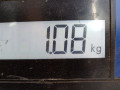защита арок передняя левая (подкрылок) BMW X6 E71/E72 2009, 3.0 л., АКПП, внедорожник 5 дв., 51717180621 - фото №4