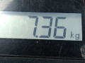 стойка амортизатора Ford C-Max 1 поколение [рестайлинг] 2008, 2.0 л., АКПП, минивэн, 1325960 - фото №6