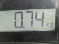 фара противотуманная левая Opel Meriva 1 поколение (A) 2003, 1.6 л., МКПП, минивэн, 13252450 - фото №7