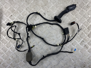 дверная проводка BMW X6 G06 [рестайлинг] 2023, 3.0 л., B58B30, бензин, 416, 61115A8FF60