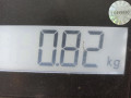защита арок задняя левая (подкрылок) Volkswagen Sharan 1 поколение 2000, 1.9 л., МКПП, минивэн, 7M3810971B - фото №6