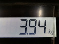 компрессор кондиционера Fiat Stilo 1 поколение 2004, 1.4 л., МКПП, хетчбэк 3 дв., 51747318 - фото №6