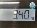 пружина задняя Toyota Aygo 1 поколение [рестайлинг] 2008, 1.0 л., МКПП, хетчбэк 3 дв., 482310H020 - фото №4