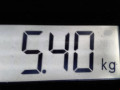 коллектор выпускной Mitsubishi Pajero 3 поколение 2002, 3.2 л., АКПП, внедорожник 5 дв., ME203762 - фото №4