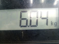 стойка амортизатора Skoda Fabia 2 поколение [рестайлинг] 2011, 1.6 л., МКПП, хетчбэк 5 дв., 6Q0413031BL - фото №5