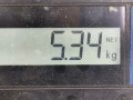 суппорт передний левый BMW 7 серия E65/E66/E67 2004, 4.0 л., АКПП, седан, 34116756303 - фото №6