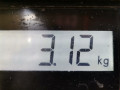 масляный поддон Ford Fiesta 5 поколение [рестайлинг] 2006, 1.2 л., МКПП, хетчбэк 5 дв., 1128431 - фото №8
