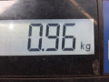 заслонка дроссельная Opel Zafira 1 поколение (A) [рестайлинг] 2004, 2.2 л., МКПП, минивэн, 93174608 - фото №5