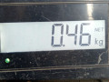 габаритный фонарь Opel Meriva 1 поколение (A) 2003, 1.6 л., МКПП, минивэн - фото №5