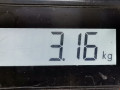 коллектор выпускной Opel Signum C 2005, 3.0 л., АКПП, хетчбэк 5 дв., 98020155 - фото №5