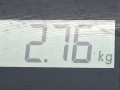 усилитель бампера переднего Renault Scenic 2 поколение 2005, 1.9 л., МКПП, минивэн, 8200534784 - фото №7