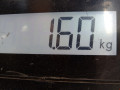 защита арок передняя левая (подкрылок) BMW X6 E71/E72 2009, 3.0 л., АКПП, внедорожник 5 дв., 51717180621 - фото №4