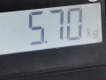 стойка амортизатора Volkswagen Golf 4 поколение 1999, 1.4 л., МКПП, хетчбэк 3 дв., 1J0413031S - фото №7