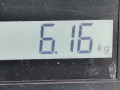 стойка амортизатора Volkswagen Golf 5 поколение 2004, 1.6 л., МКПП, хетчбэк 3 дв., 1K0413031AE - фото №5