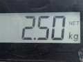 суппорт задний правый Opel Signum C [рестайлинг] 2006, 1.9 л., АКПП, хетчбэк 5 дв., 93181407 - фото №6