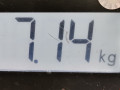 карданный вал Mercedes-Benz C-Класс W203/S203/CL203 2003, 2.2 л., МКПП, универсал, A2034108106 - фото №8