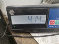коллектор выпускной Fiat Stilo 1 поколение 2002, 2.4 л., МКПП, хетчбэк 3 дв., 46796308 - фото №7