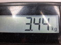пружина задняя Nissan Note E11 [рестайлинг] 2013, 1.5 л., МКПП, минивэн, 550209U00A - фото №4