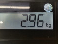 пружина задняя Volkswagen Golf 4 поколение 2003, 1.4 л., МКПП, хетчбэк 3 дв., 1J0511115AJ - фото №4