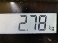 кронштейн компрессора кондиционера Renault Megane 2 поколение 2005, 1.4 л., МКПП, хетчбэк 5 дв. - фото №6