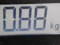 зеркало наружное правое Mazda 323 6 поколение 2000, 2.0 л., МКПП, хетчбэк 5 дв., BJ4E69120C50 - фото №7