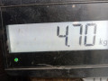 суппорт передний правый Renault Megane 2 поколение 2003, 1.6 л., МКПП, универсал, 7701207686 - фото №6