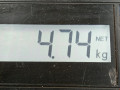 полуось передняя левая (приводной вал, ШРУС) Opel Astra H/Family [рестайлинг] 2008, 1.6 л., МКПП, хетчбэк 5 дв., 24462251 - фото №4