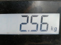 коллектор впускной Skoda Fabia 2 поколение [рестайлинг] 2011, 1.2 л., МКПП, хетчбэк 5 дв., 03F145749B - фото №8