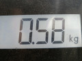 фара противотуманная левая Nissan Primera P11 2000, 1.8 л., МКПП, хетчбэк 5 дв., 261559F900 - фото №5