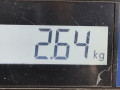 фара правая Kia Sorento 1 поколение 2004, 2.5 л., МКПП, внедорожник 5 дв., 921023E020 - фото №7