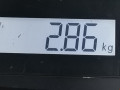 механизм стеклоочистителя (трапеция дворников) Ford Focus 2 поколение 2006, 1.6 л., МКПП, хетчбэк 5 дв., 1704580 - фото №5