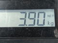 пружина задняя Opel Astra H 2007, 1.6 л., МКПП, хетчбэк 3 дв., 93182064 - фото №4