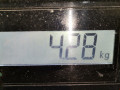 коллектор впускной BMW 5 серия E60/E61 [рестайлинг] 2008, 2.5 л., МКПП, универсал, 11617593006 - фото №8