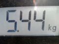 генератор Citroen Berlingo 1 поколение (M49) 1997, 1.8 л., МКПП, фургон, 5705F3 - фото №7
