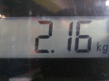 радиатор (основной) Ford Fiesta 5 поколение [рестайлинг] 2008, 1.4 л., МКПП, хетчбэк 5 дв., 1430653 - фото №6