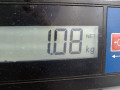 решетка радиатора Renault Laguna 2 поколение 2001, 1.8 л., МКПП, хетчбэк 5 дв., 8200012581B - фото №6