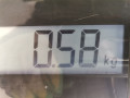 фонарь крышки багажника левый Mazda 3 BL 2009, 1.6 л., МКПП, хетчбэк 5 дв., BBN7513G0D - фото №5
