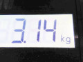 вакуумный усилитель тормозов Citroen C2 1 поколение 2007, 1.4 л., МКПП, хетчбэк 3 дв., 4535Y6 - фото №8