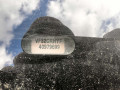 ступица передняя левая Peugeot 206 1 поколение 2000, 2.0 л., МКПП, хетчбэк 3 дв., 364657 - фото №11
