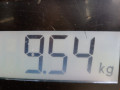 усилитель бампера переднего Ford C-Max 1 поколение 2006, 1.8 л., АКПП, минивэн, 1540638 - фото №6